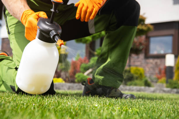Best Mosquito Control Services  in Teutopolis, IL