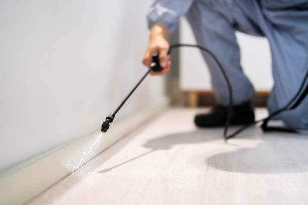 Best Pest Removal Services  in Teutopolis, IL