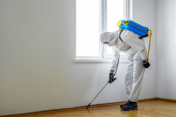 Best Pest Removal Services  in Teutopolis, IL
