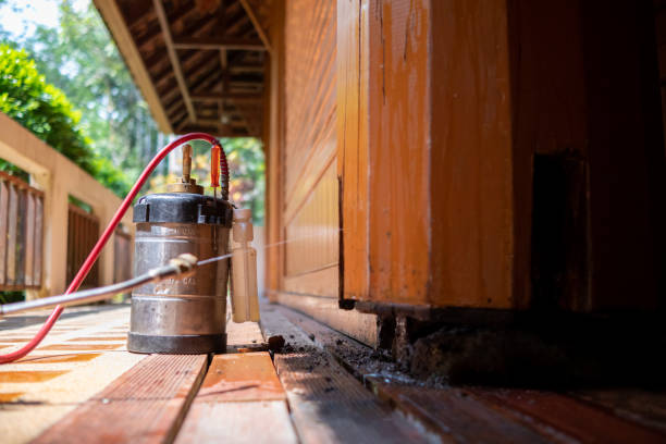 Pest Prevention Services in Teutopolis, IL