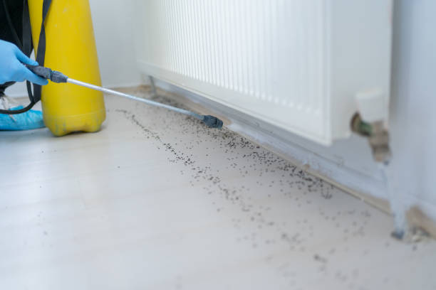 Pest Control for Restaurants in Teutopolis, IL